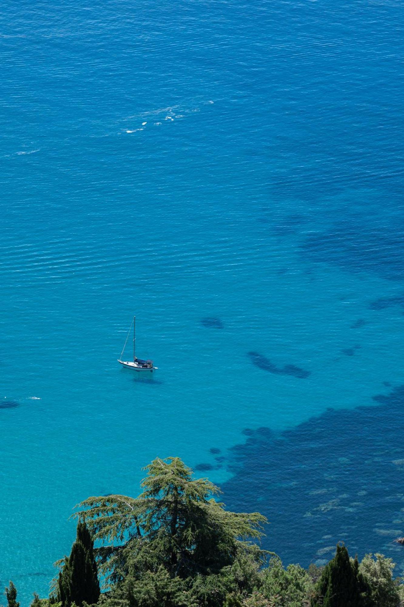 Le Coq Grimaldi - Wifi - Air Conditioning - Quiet Roquebrune-Cap-Martin Exterior photo